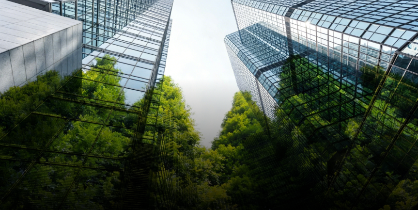 Env and  Development